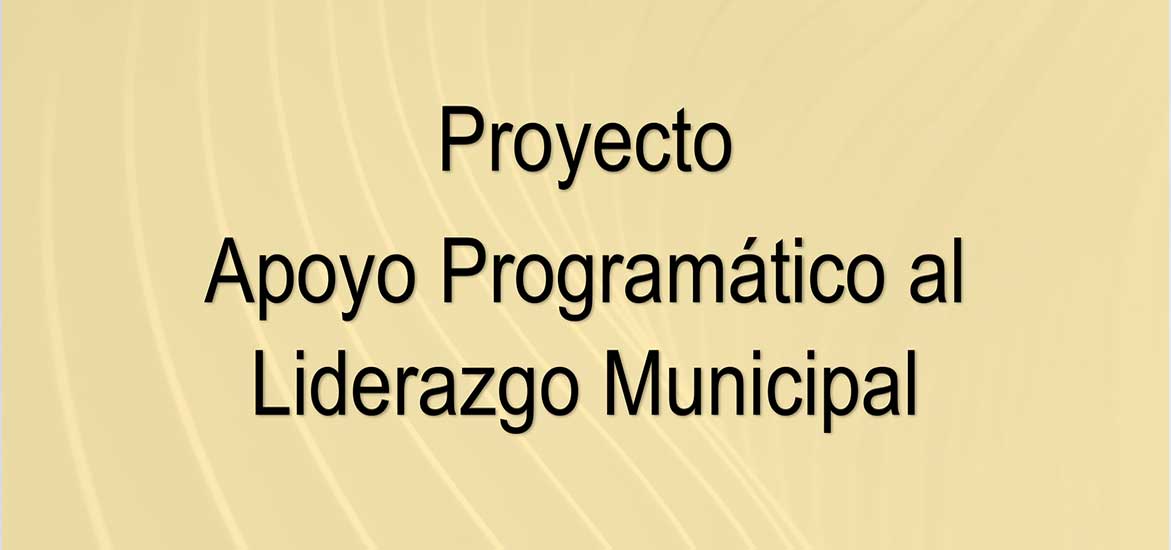 Proyecto: Apoyo Programático al Liderazgo Municipal. Resumen ejecutivo.